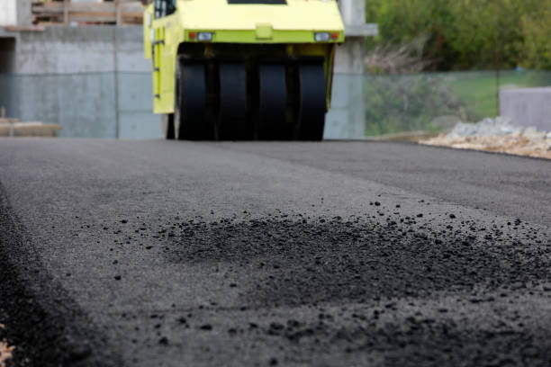 Best Custom Driveway Pavers  in Dover Beaches North, NJ