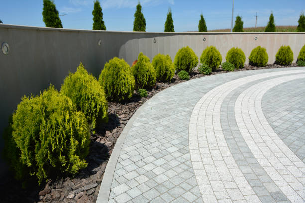 Best Professional Driveway Pavers  in Dover Beaches North, NJ